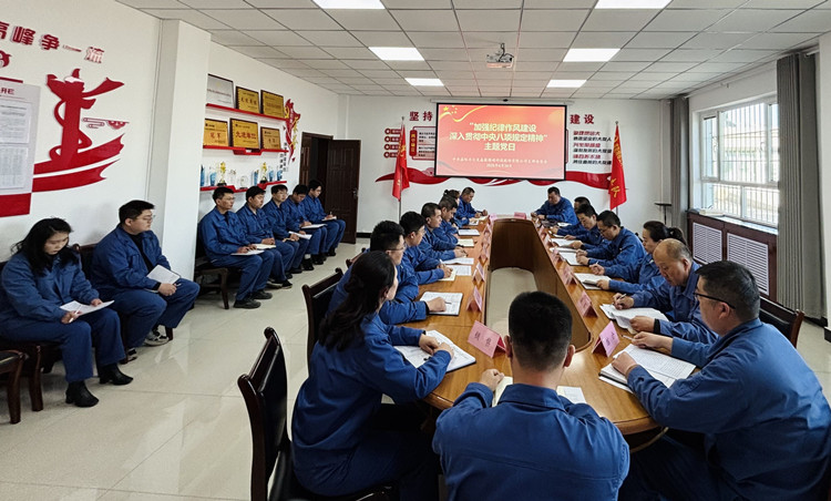 嘉能精碳党支部开展“加强纪律作风建设,深入贯彻中央八项规定精神” 主题党日活动_副本.jpg