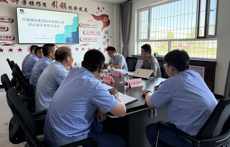 中策橡胶集团赴嘉能精碳开展供应商审核,共促产业链高质量发展_副本.jpg