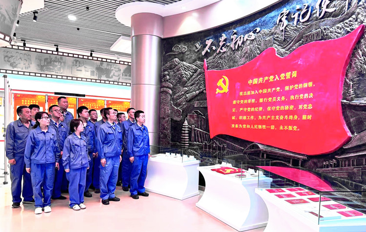 嘉能精碳党支部开展“品钢城文化,植爱国情怀 守原则底线,践使命担当”主题党日活动_副本.jpg